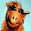 gordonmcshane